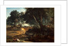 Forest of Fontainebleau, 1834 by Jean-Baptiste-Camille Corot