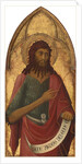 Saint John the Baptist by Lippo Memmi