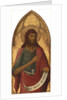 Saint John the Baptist by Lippo Memmi