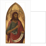 Saint John the Baptist by Lippo Memmi