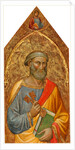 Madonna and Child with Saint Peter and Saint Stephen left panel by Martino di Bartolomeo di Biagio