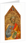 Madonna and Child with Saint Peter and Saint Stephen left panel by Martino di Bartolomeo di Biagio