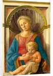 Italian, Madonna and Child, c. 1440 by Fra Filippo Lippi