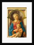 Italian, Madonna and Child, c. 1440 by Fra Filippo Lippi