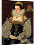 The Duchess of Chandos Frances, Lady Chandos by John Bettes the Younger