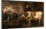 Portraits of two extraordinary oxen, the property of the Earl of Powis by James Ward