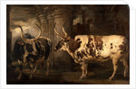 Portraits of two extraordinary oxen, the property of the Earl of Powis by James Ward