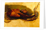 Man Struggling with a Boa Constrictor, Study for 'Liboya Serpent Seizing its Prey' Study of a Negro Struggling with a Boa Constrictor for 'A Boa Serpent Seizing a Horse' by James Ward