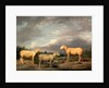 Ryelands Sheep, the King's Ram, the King's Ewe and Lord Somerville's Wether by James Ward