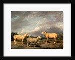 Ryelands Sheep, the King's Ram, the King's Ewe and Lord Somerville's Wether by James Ward
