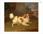 A Blenheim Spaniel, William Webb, ca. 1780-1845 by William Webb