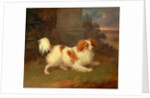 A Blenheim Spaniel, William Webb, ca. 1780-1845 by William Webb