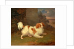 A Blenheim Spaniel, William Webb, ca. 1780-1845 by William Webb