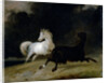 Horses in a Thunderstorm by Thomas Woodward