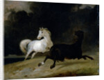 Horses in a Thunderstorm by Thomas Woodward