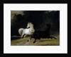 Horses in a Thunderstorm by Thomas Woodward
