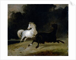 Horses in a Thunderstorm by Thomas Woodward