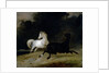 Horses in a Thunderstorm by Thomas Woodward