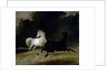 Horses in a Thunderstorm by Thomas Woodward