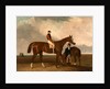 Elis at Doncaster, Ridden by John Day, with his Van in the Background by Abraham Cooper