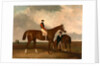 Elis at Doncaster, Ridden by John Day, with his Van in the Background by Abraham Cooper