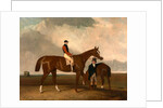 Elis at Doncaster, Ridden by John Day, with his Van in the Background by Abraham Cooper