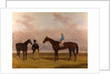 Crucifix' with John Day Up Crucifix, Winner of the oaks 1840, with John Barham Day Up by Harry Hall