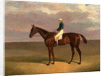 Margrave' with James Robinson Up by John Frederick Herring