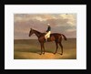 Margrave' with James Robinson Up by John Frederick Herring