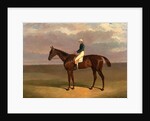 Margrave' with James Robinson Up by John Frederick Herring