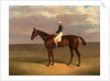 Margrave' with James Robinson Up by John Frederick Herring