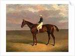 Margrave' with James Robinson Up by John Frederick Herring