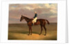 Margrave' with James Robinson Up by John Frederick Herring