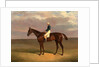 Margrave' with James Robinson Up by John Frederick Herring