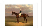 Margrave' with James Robinson Up by John Frederick Herring
