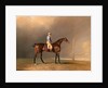 Diamond, with Dennis Fitzpatrick Up by Benjamin Marshall