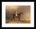 Diamond, with Dennis Fitzpatrick Up by Benjamin Marshall