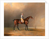 Diamond, with Dennis Fitzpatrick Up by Benjamin Marshall