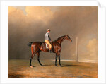 Diamond, with Dennis Fitzpatrick Up by Benjamin Marshall