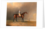 Diamond, with Dennis Fitzpatrick Up by Benjamin Marshall