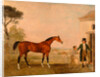 Sultan' at the Marquess of Exeter's Stud, Burghley House by Lambert Marshall