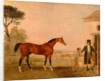 Sultan' at the Marquess of Exeter's Stud, Burghley House by Lambert Marshall