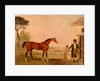 Sultan' at the Marquess of Exeter's Stud, Burghley House by Lambert Marshall