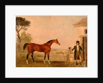 Sultan' at the Marquess of Exeter's Stud, Burghley House by Lambert Marshall