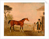 Sultan' at the Marquess of Exeter's Stud, Burghley House by Lambert Marshall