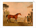 Sultan' at the Marquess of Exeter's Stud, Burghley House by Lambert Marshall
