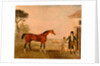 Sultan' at the Marquess of Exeter's Stud, Burghley House by Lambert Marshall