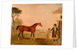 Sultan' at the Marquess of Exeter's Stud, Burghley House by Lambert Marshall