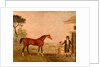 Sultan' at the Marquess of Exeter's Stud, Burghley House by Lambert Marshall