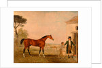 Sultan' at the Marquess of Exeter's Stud, Burghley House by Lambert Marshall